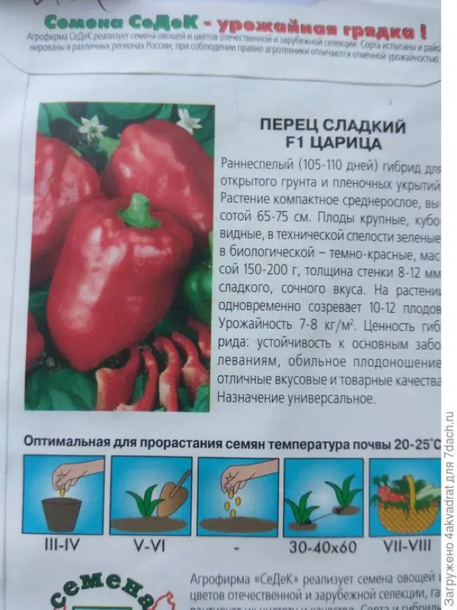 Ирина Седек - сорт растения Перец сладкий