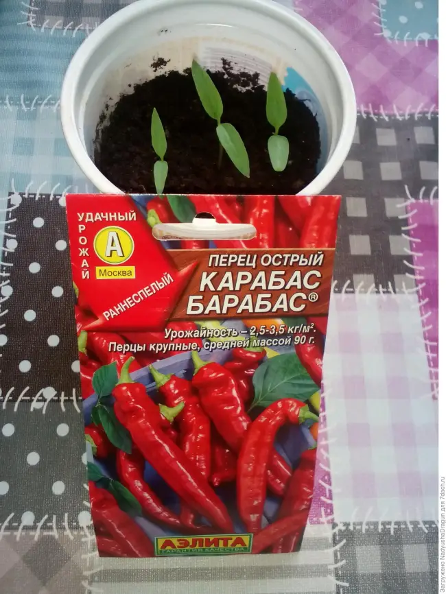 Перец острый Карабас Барабас ®, 0,3 г