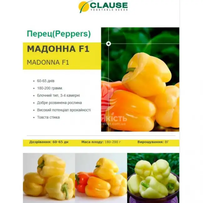 Перец Мадонна F1: отзывы о выращивании, характеристика и описание сладкого сорта, фото семян от производителя