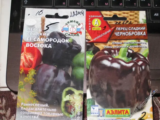 Перец Чернобровка: отзывы об урожайности, характеристика и описание сладкого сорта, фото