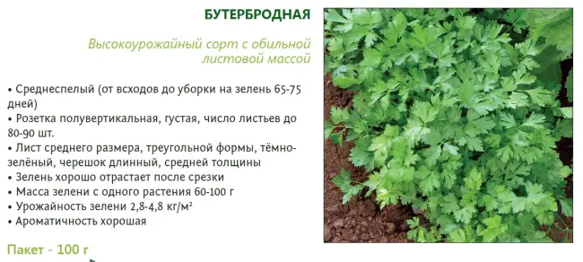 Петрушка Богатырь (листовая) семена — низкая цена, описание, отзывы, продажа