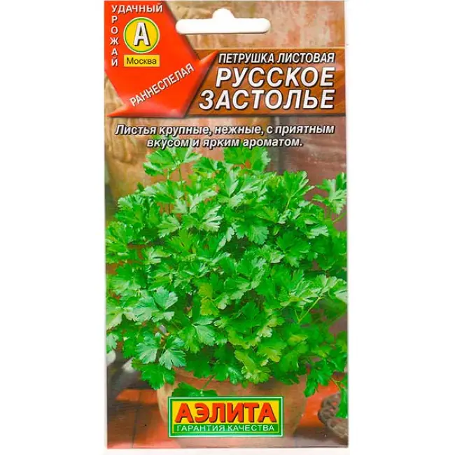 Русское Застолье — сорт растения Петрушка